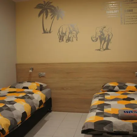 Bialy Slon אכסניה