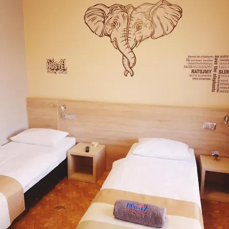 Hostel Bialy Slon *
