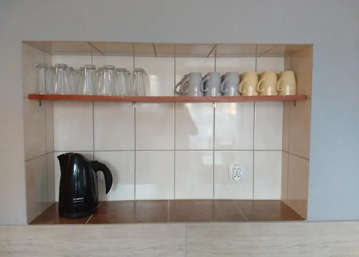 بيت شباب Bialy Slon