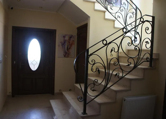 Bialy Slon غدينيا